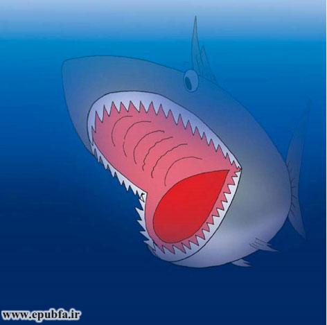 یک کوسهی بزرگی با دهان باز ظاهر شد.